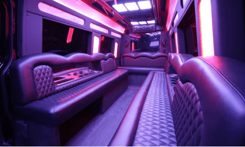 14 Passenger Sprinter Bus Interior